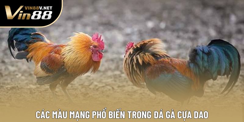 Các màu mạng phổ biến trong đá gà cựa dao
