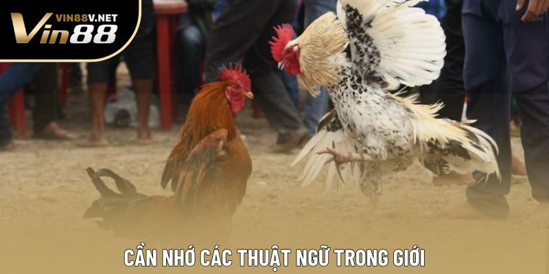 Cần nhớ các thuật ngữ trong giới