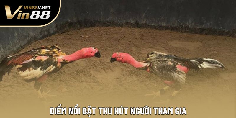 Điểm nổi bật thu hút người tham gia