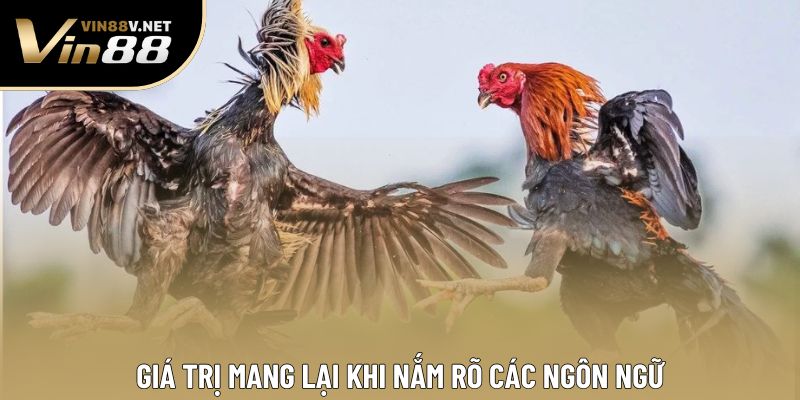 Giá trị mang lại khi nắm rõ các ngôn ngữ
