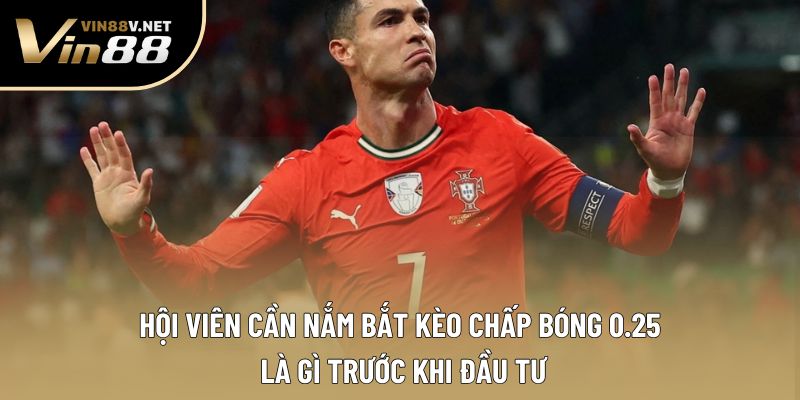 Hội viên cần nắm bắt kèo chấp bóng 0.25 là gì trước khi đầu tư Hội viên cần nắm bắt kèo chấp bóng 0.25 là gì trước khi đầu tư