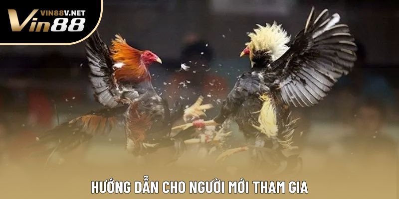 Hướng dẫn cho người mới tham gia