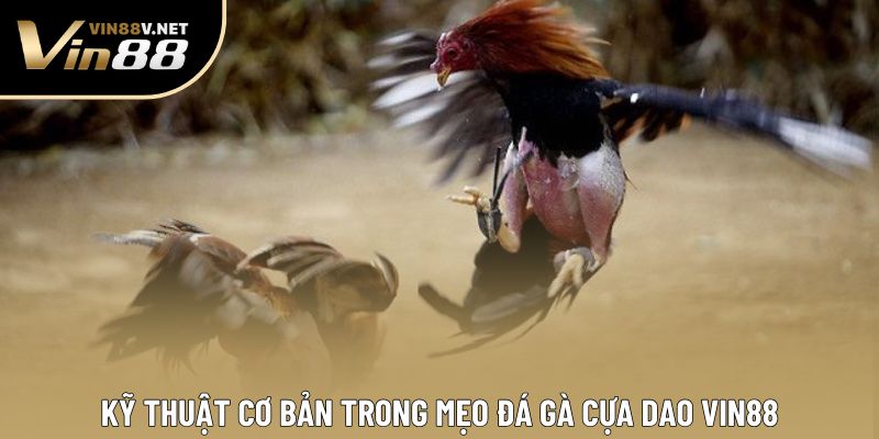 Kỹ thuật cơ bản trong mẹo đá gà cựa dao VIN88