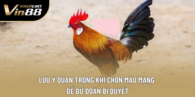 Lưu ý quan trọng khi chọn màu mạng để dự đoán bí quyết