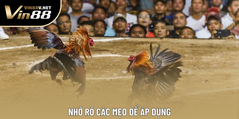 Nhỡ rõ các mẹo để áp dụng
